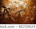 Autumn reflection 66720029