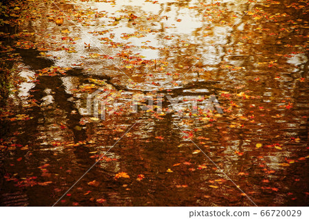 Autumn reflection 66720029