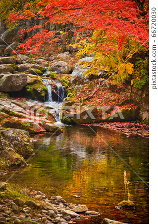 Autumn reflection Autumn reflection 66720030