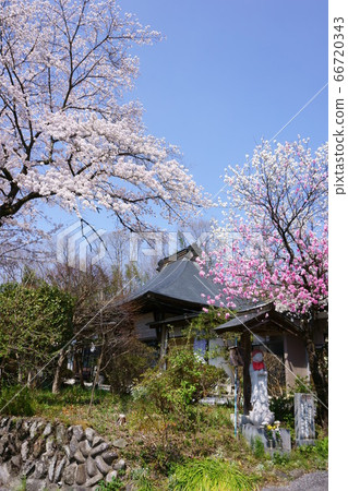 1324 Chichibu Kannon聖地6號Fudasho 66720343