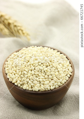 大麥大麥 66721745