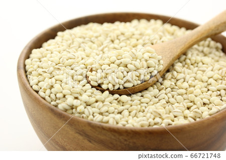 大麥大麥 66721748