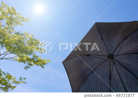 陽傘太陽藍藍的天空 66721877