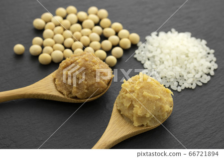 miso  66721894