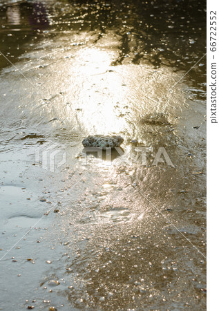 Stone on Sand Beach and Sea Water for Natural Background. 66722552