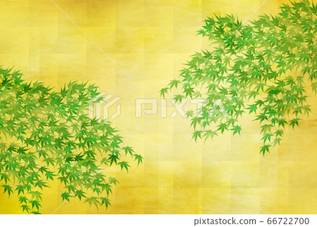 楓樹鮮綠夏日參觀背景 66722700