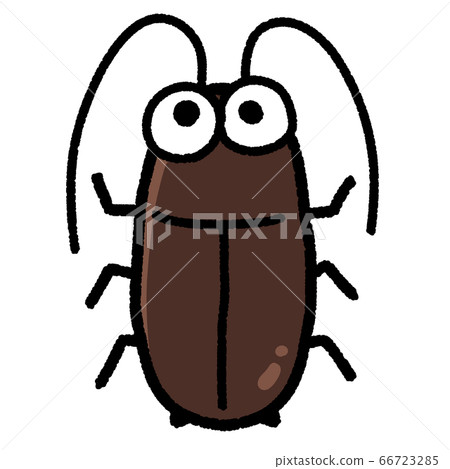 Cute cockroach character 66723285