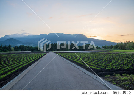Around the fresh green, Mt. Mine mountain range, view from Jomokogen station near Minakami town 66723900