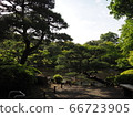 Old Furukawa Garden Rose Garden 66723905