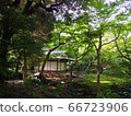 Old Furukawa Garden Rose Garden 66723906