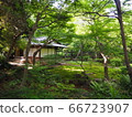 Old Furukawa Garden Rose Garden 66723907