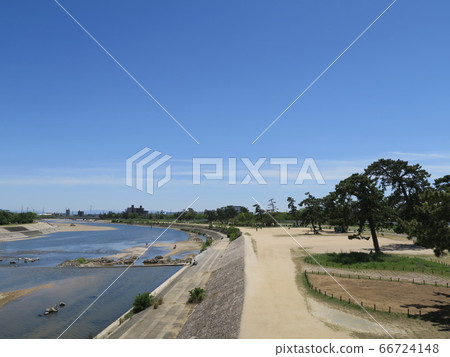 Mukogawa河床公園與松樹 Mukogawa河床公園與松樹 66724148