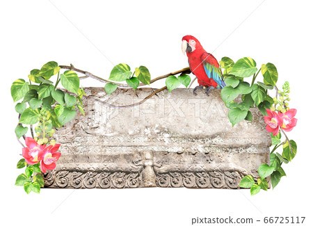 Old stone, Ara macao parrot, lianas, flower and Old stone, Ara macao parrot, lianas, flower and 66725117