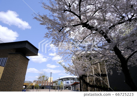 Hanshin train Koshien station which reached spring Hanshin train Koshien station which reached spring 66725223