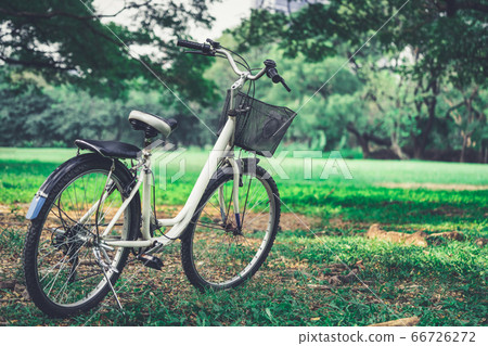 White bicycle in the public park in summer. 66726272