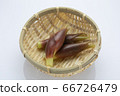 蔬菜Myoga 蔬菜Myoga 66726479