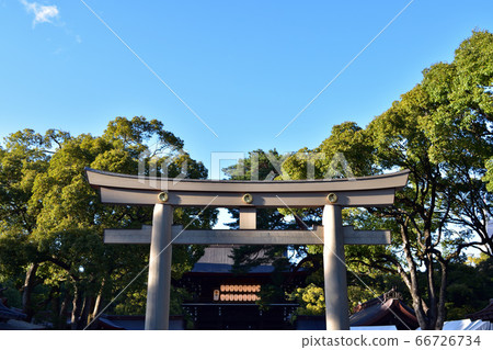 Meiji Shrine / Minamitamagaki Torii Meiji Shrine / Minamitamagaki Torii 66726734