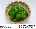蔬菜青椒 蔬菜青椒 66726737
