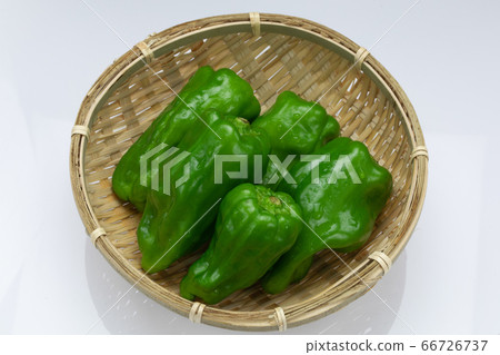 蔬菜青椒 蔬菜青椒 66726737