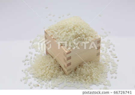 飯 飯 66726741