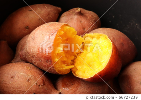 特殊的種子島安諾土豆 66727239