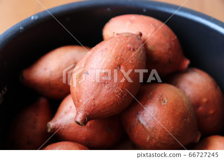 特殊的種子島安諾土豆 特殊的種子島安諾土豆 66727245