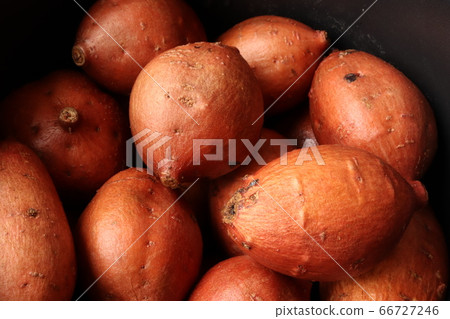 Special Tanegashima Anno potatoes Special Tanegashima Anno potatoes 66727246