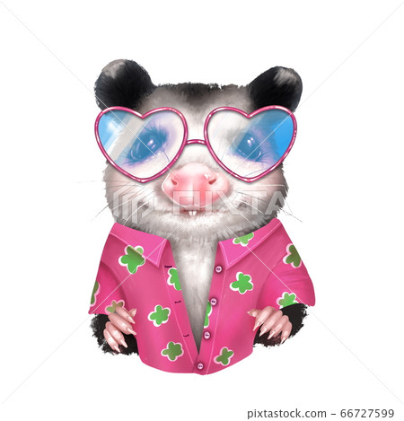 Opossum portrait on white. Cute animal illustration Opossum portrait on white. Cute animal illustration 66727599