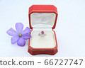 Ring diamond ruby 66727747