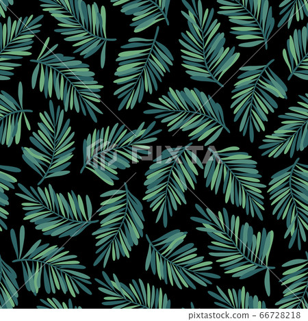 無縫熱帶模式與熱帶植物 66728218