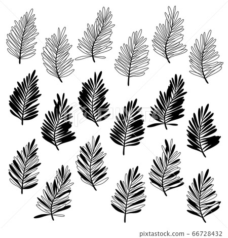 Tropical plant tropical illustrations, 66728432