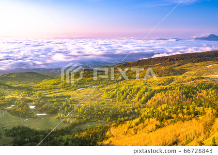 《Gunma Prefecture》 View of the highest point of the national highway at dawn in Shibutoge 66728843