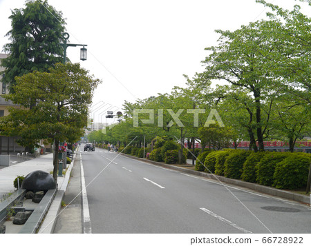 (Difficult to walk every year) Odawara, Horibata Street on May 3 66728922