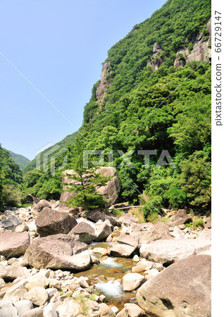 新鮮的綠色仙境 66729147