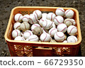 Baseball hardball 66729350