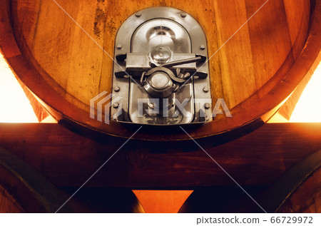 Wine cellar in Langhe (italy), detail of a wine 66729972