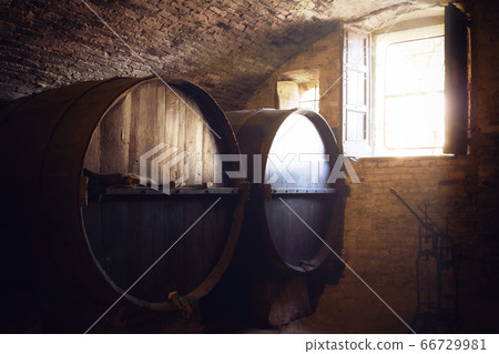 oak barrels in an historic wine cellar of piedmont oak barrels in an historic wine cellar of piedmont 66729981