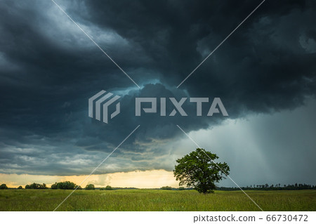 Supercell storm clouds with intense tropic rain 66730472