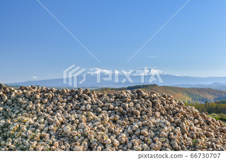 Asahidake and sugar beet 66730707