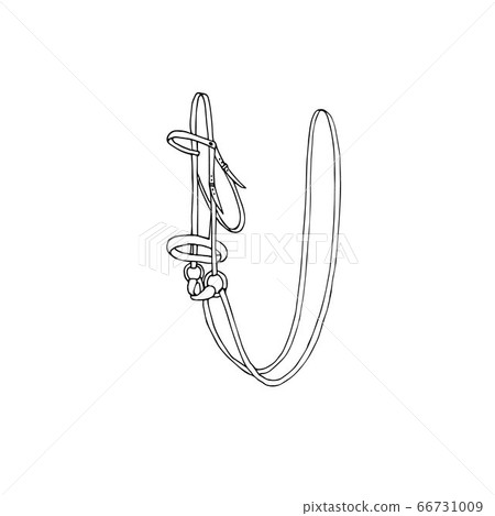 Vector hand drawn doodle sketch horse bridle 66731009
