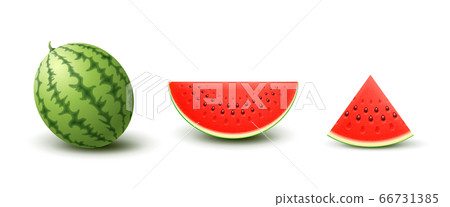 Set of Realistic Watermelons 66731385