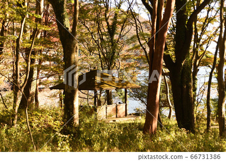 Togendai湖畔富萊花園 66731386
