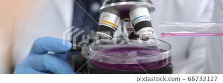 Pharmacist looks at test sample under microscope Pharmacist looks at test sample under microscope 66732127