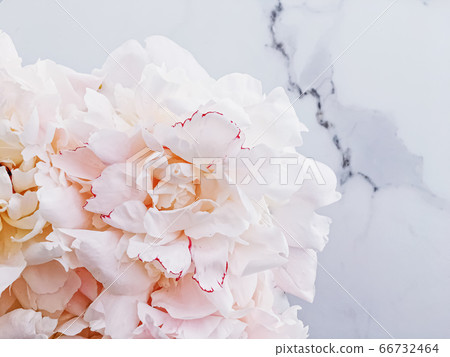 Bouquet of peony flowers on luxury marble background, wedding flatlay and event branding Bouquet of peony flowers on luxury marble background, wedding flatlay and event branding 66732464