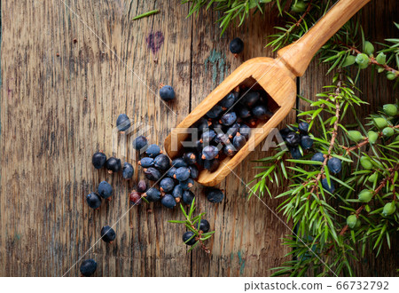 Juniper branch and wooden spoon with berries on a 66732792