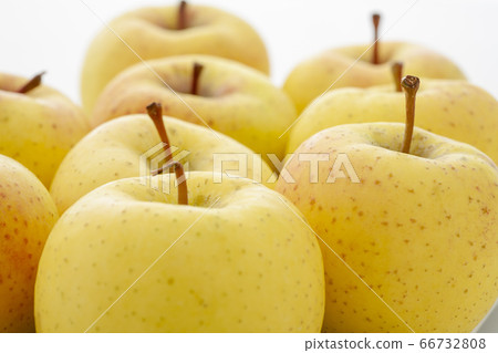 芬芳的青蘋果皇后 66732808