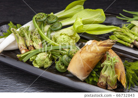 Spring taste Spring taste 66732843