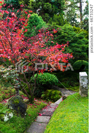 Beautiful English Public Garden during Fall Beautiful English Public Garden during Fall 66733247