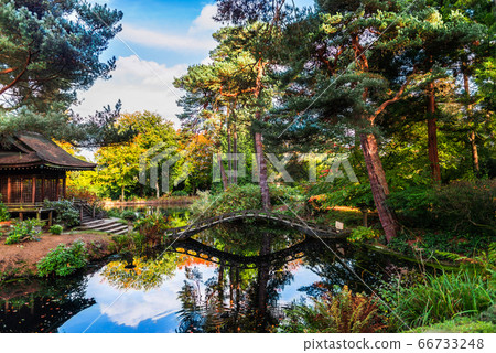 Beautiful English Public Garden during Fall Beautiful English Public Garden during Fall 66733248