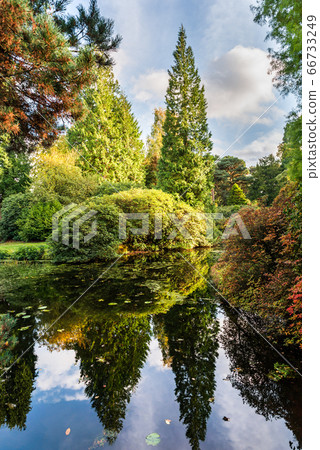 Beautiful English Public Garden during Fall Beautiful English Public Garden during Fall 66733249